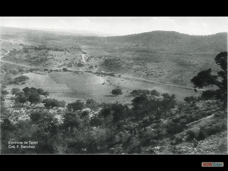 8-ENVIRONS DE TAMRI 4 copie 2