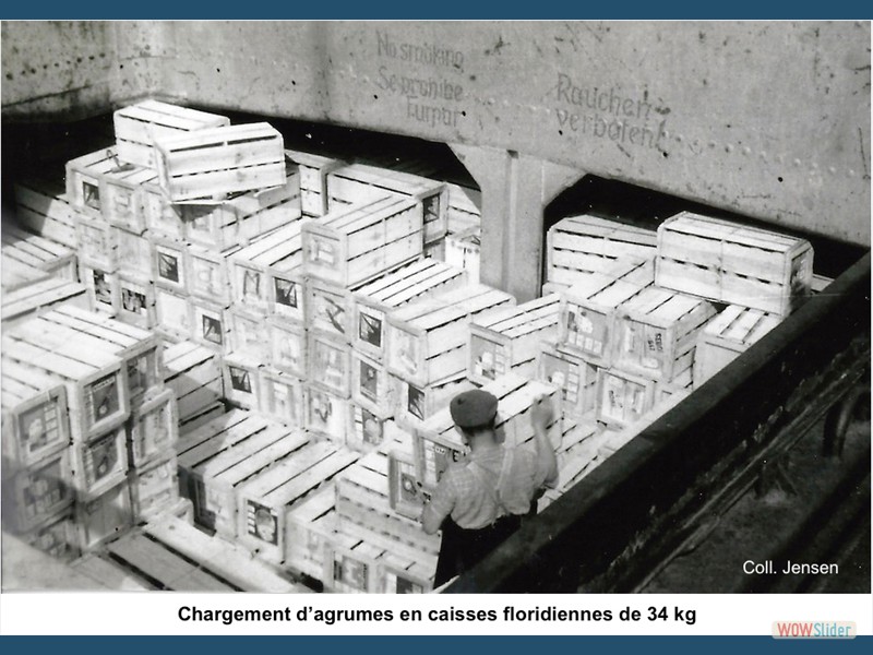 3-chargement d'agrumes en caisses floridiennes de 34 kg - copie