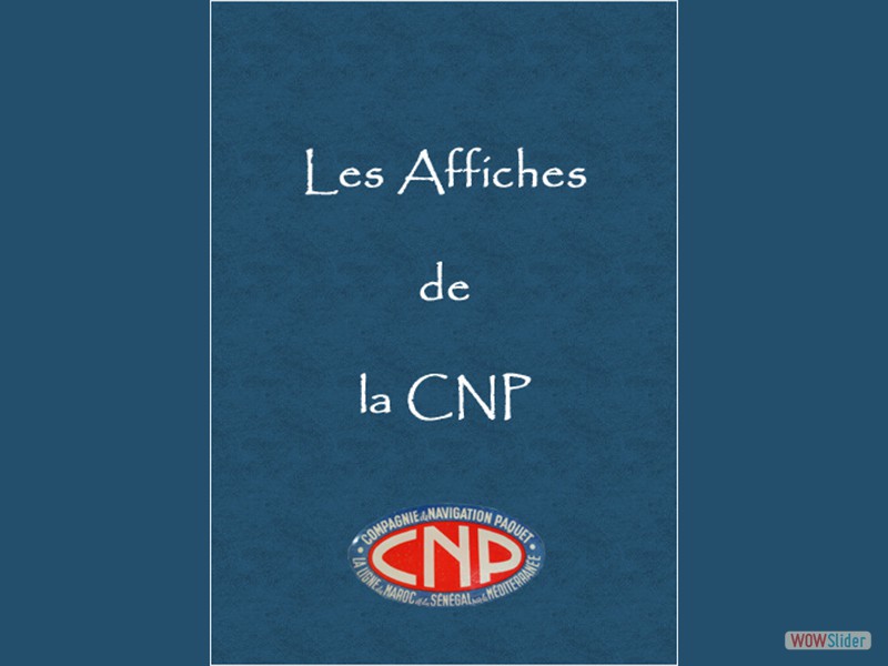 0-logo-cnp
